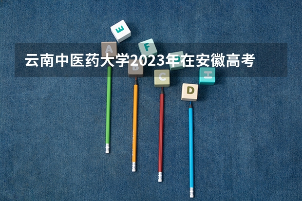云南中医药大学2023年在安徽高考招生多少人
