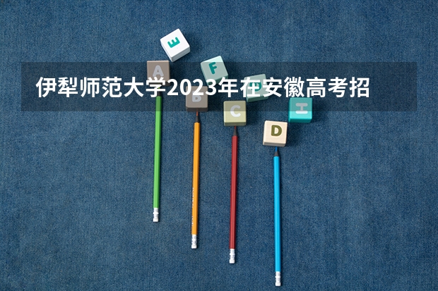 伊犁师范大学2023年在安徽高考招生多少人