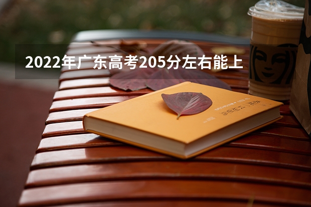 2022年广东高考205分左右能上什么样的大学