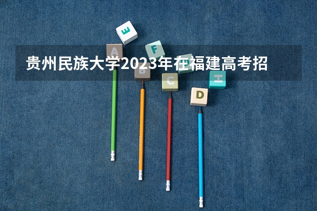贵州民族大学2023年在福建高考招生多少人