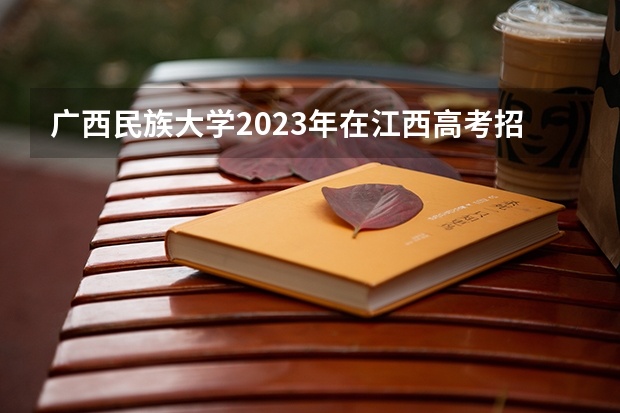 广西民族大学2023年在江西高考招生多少人