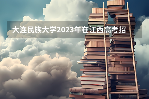 大连民族大学2023年在江西高考招生多少人