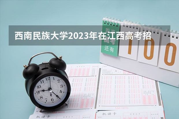 西南民族大学2023年在江西高考招生多少人