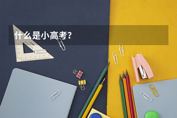 什么是小高考？