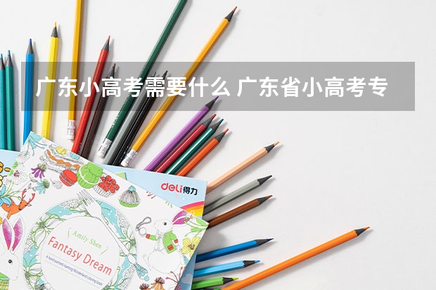 广东小高考需要什么 广东省小高考专a分数线