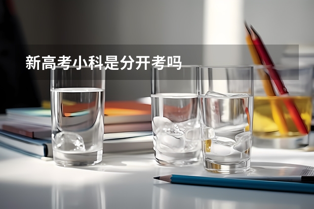 新高考小科是分开考吗