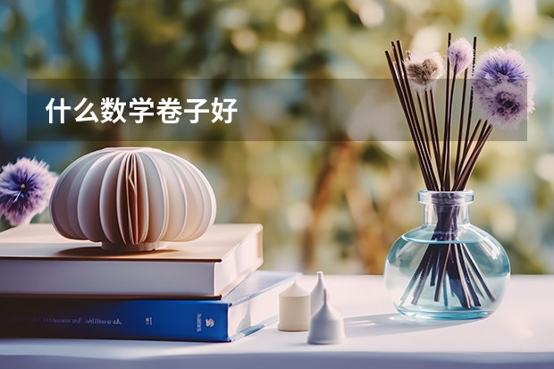 什么数学卷子好