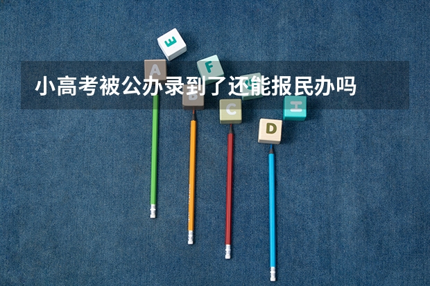 小高考被公办录到了还能报民办吗