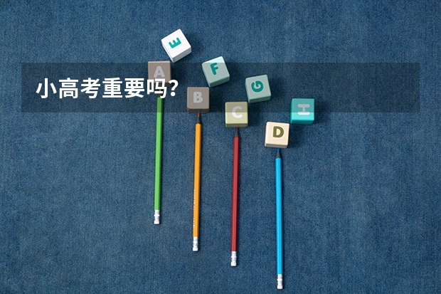 小高考重要吗？
