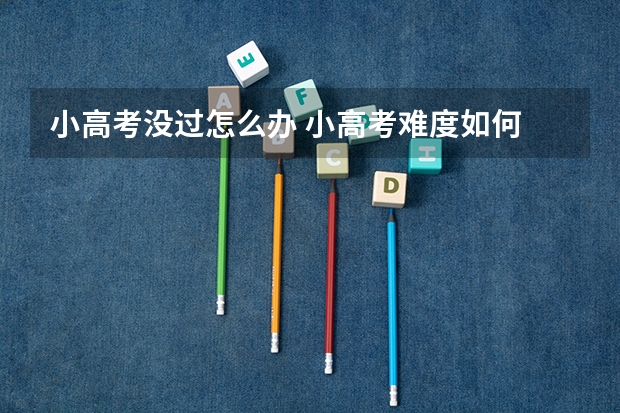 小高考没过怎么办 小高考难度如何