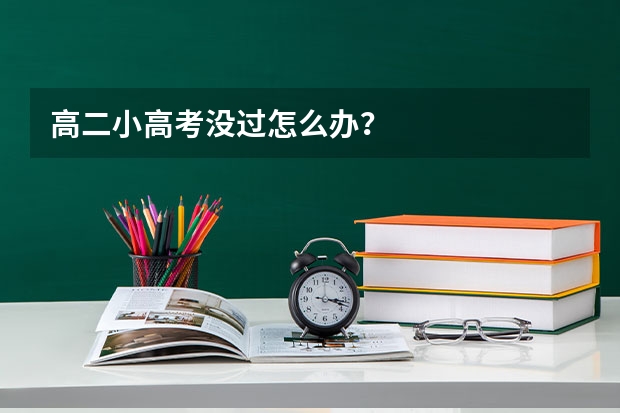 高二小高考没过怎么办？