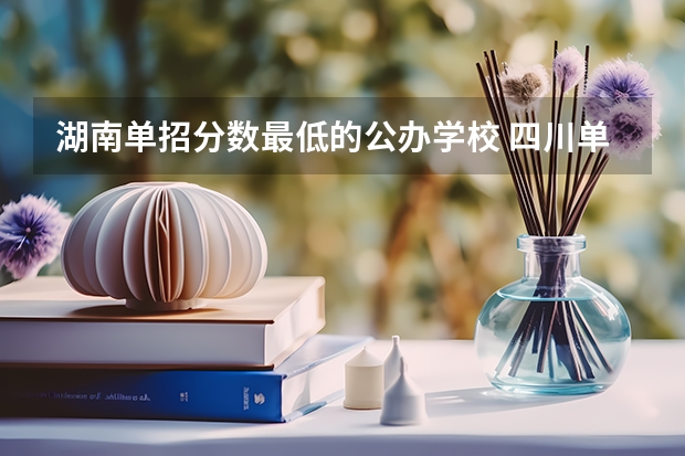 湖南单招分数最低的公办学校 四川单招分低的学校