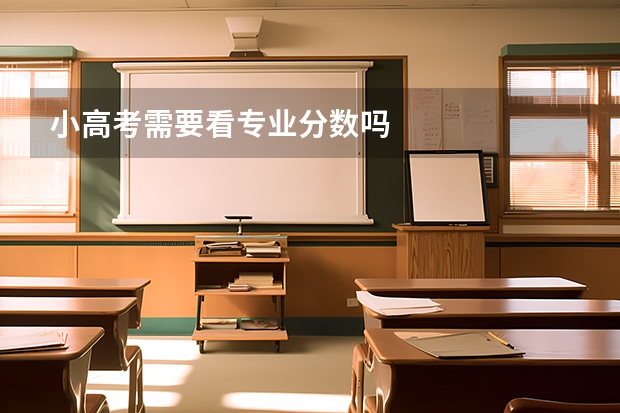 小高考需要看专业分数吗