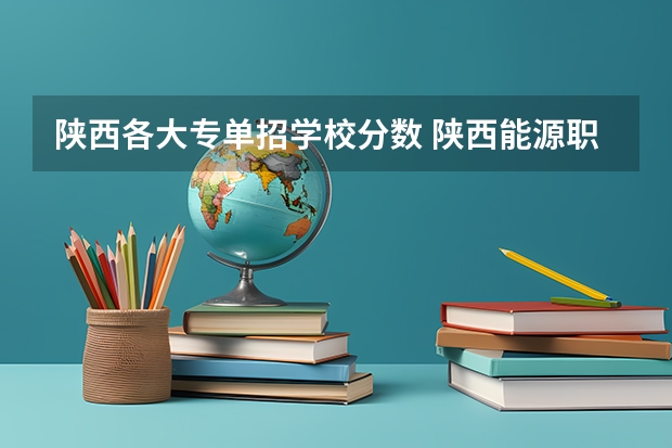 陕西各大专单招学校分数 陕西能源职业技术学院单招分数线