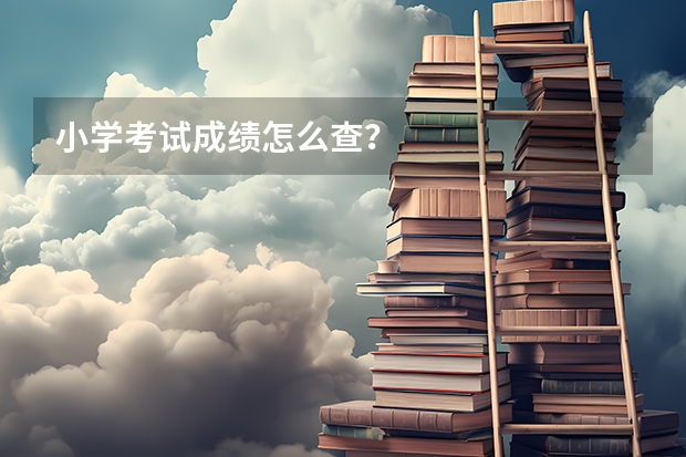小学考试成绩怎么查？