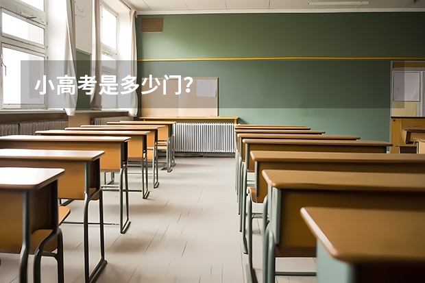 小高考是多少门？
