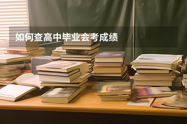 如何查高中毕业会考成绩