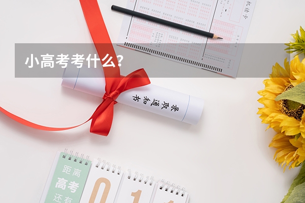 小高考考什么？