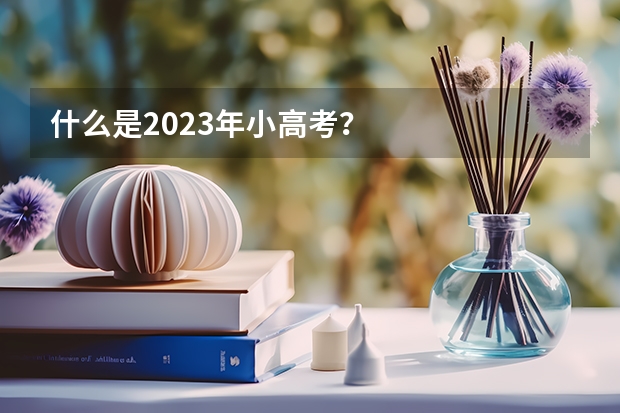 什么是2023年小高考？
