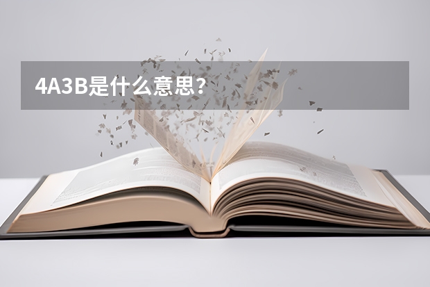 4A3B是什么意思？