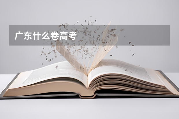 广东什么卷高考