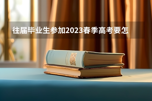 往届毕业生参加2023春季高考要怎么报名？