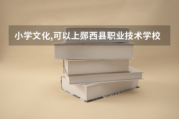 小学文化,可以上郧西县职业技术学校吗