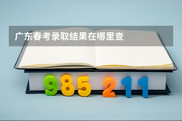 广东春考录取结果在哪里查