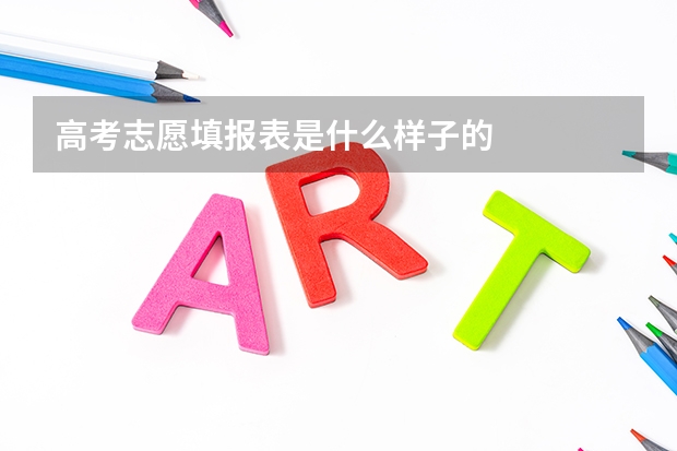 高考志愿填报表是什么样子的