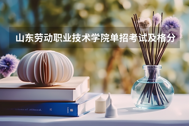 山东劳动职业技术学院单招考试及格分（山东艺术学院艺术类录取分数线）