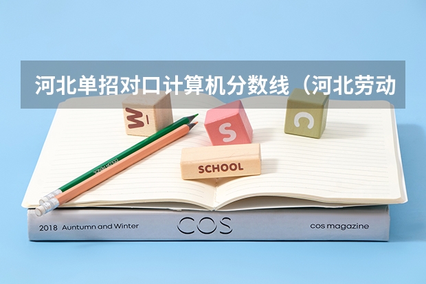 河北单招对口计算机分数线（河北劳动关系职业学院单招分数线）