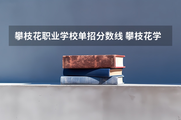 攀枝花职业学校单招分数线 攀枝花学院录取线