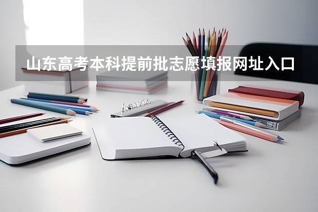 山东高考本科提前批志愿填报网址入口怎么进,如何填报