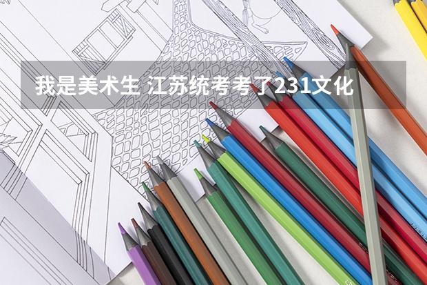 我是美术生 江苏统考考了231文化课 考多少才能上本科