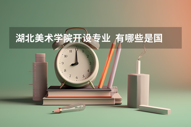 湖北美术学院开设专业  有哪些是国家特色专业