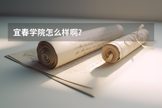 宜春学院怎么样啊？