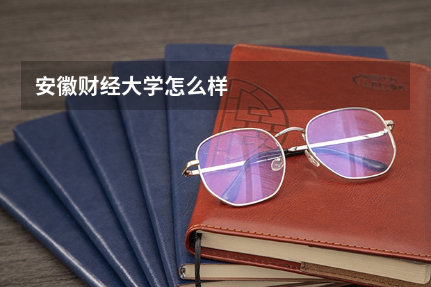 安徽财经大学怎么样