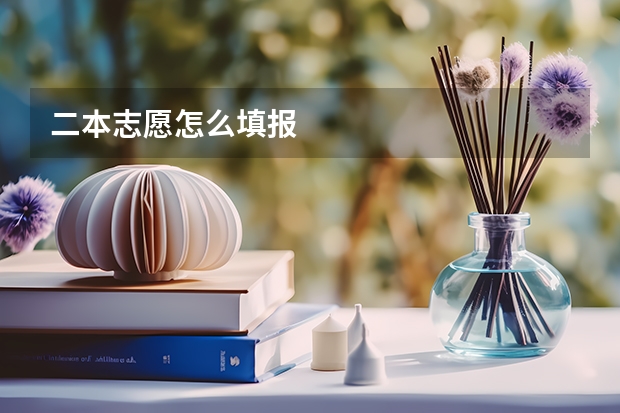 二本志愿怎么填报