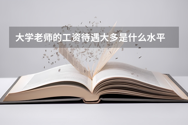 大学老师的工资待遇大多是什么水平
