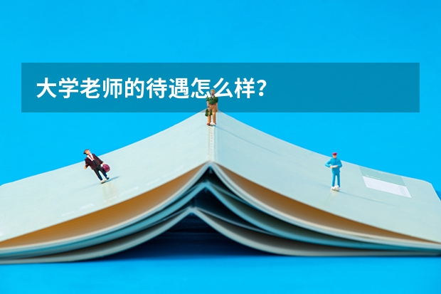 大学老师的待遇怎么样？