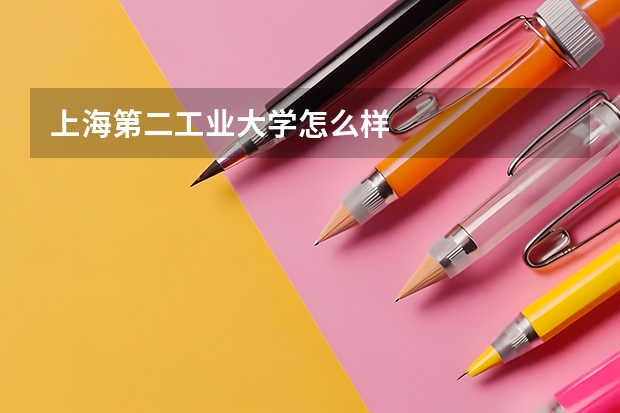 上海第二工业大学怎么样