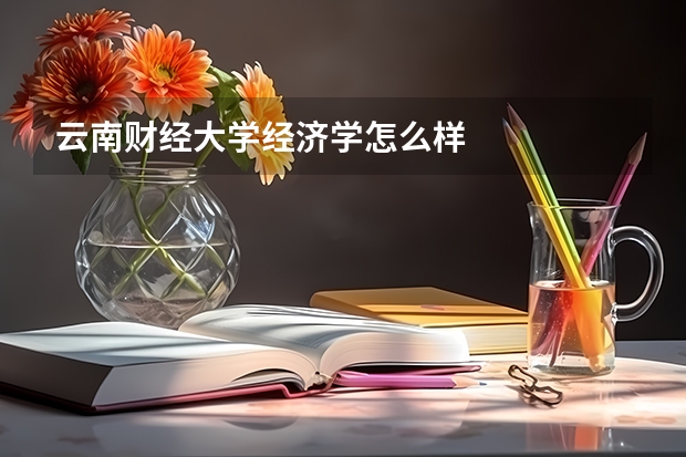 云南财经大学经济学怎么样