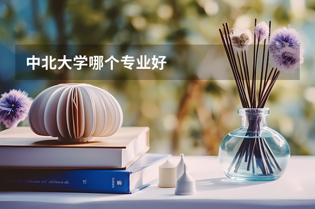 中北大学哪个专业好
