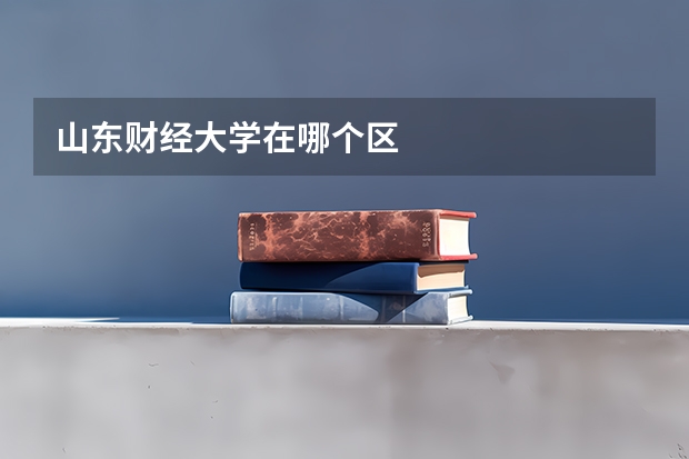 山东财经大学在哪个区