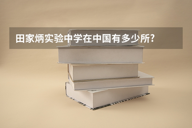 田家炳实验中学在中国有多少所?