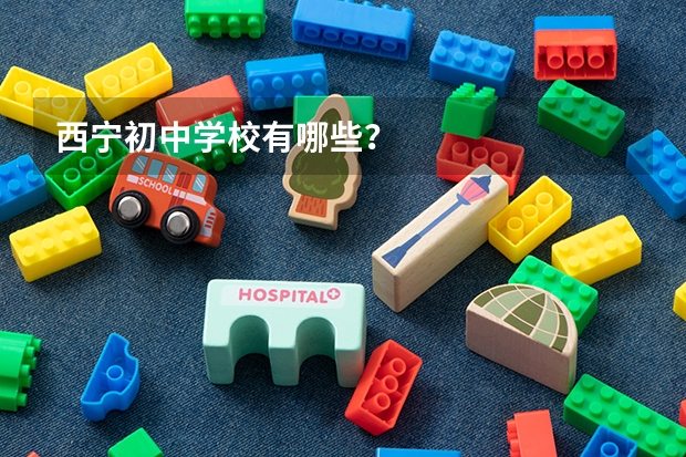 西宁初中学校有哪些？