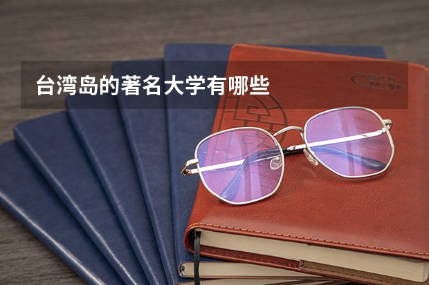 台湾岛的著名大学有哪些