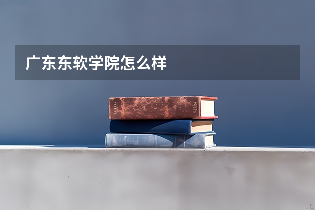 广东东软学院怎么样