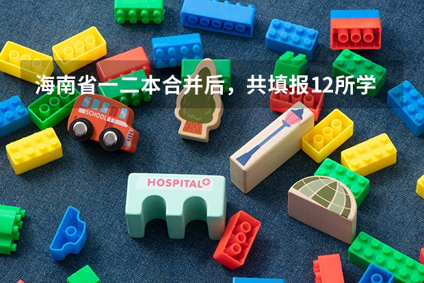 海南省一二本合并后，共填报12所学校，怎么进行录取