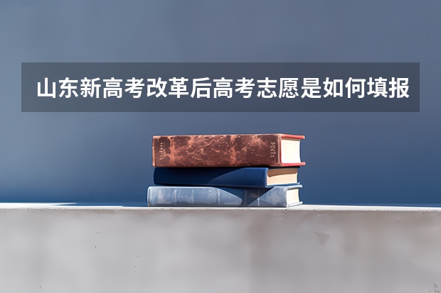 山东新高考改革后高考志愿是如何填报的？